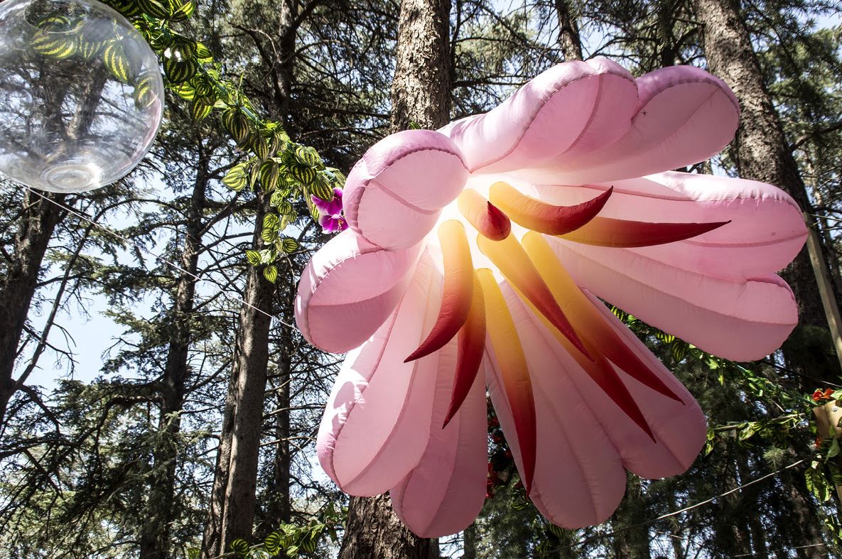 Festival Les Déferlantes